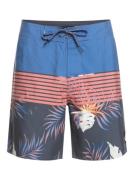 Quiksilver Boardshort Everyday Division 17"