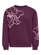 KIDS ONLY Sweatshirt KOGODESSA L/S O-NECK BOX UB CP SWT