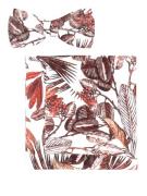 OLYMP Vlinderdasje (set)