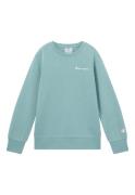 Champion Sweatshirt (1-delig)