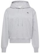 Calvin Klein Hoodie LS ARCHIVE TERRY PO HOOD