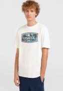 O'Neill T-shirt O'NEILL GRAPHIC T-SHIRT (1-delig)