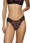 Triumph Brazilian slip Sensual Spotlight