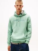 TOMMY JEANS Hoodie TJM REG LINEAR LOGO HOODIE EXT