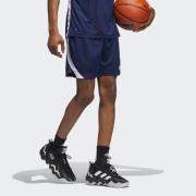 adidas Performance Trainingsshort M ICON SQUAD S (1-delig)