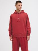 Jack & Jones Hoodie JORNORREBRO EMB SWEAT HOOD NOOS
