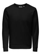 ONLY & SONS Sweatshirt ONSCHASE REG CREW SWEAT OTL