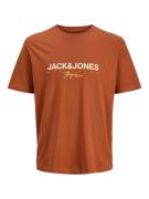 Jack & Jones Junior T-shirt JORCANGGU met print en aangenaam draagcomf...