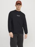 Jack & Jones Shirt met lange mouwen JORVESTERBRO TEE LS CREW NECK NOOS