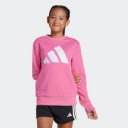adidas Sportswear Sweatshirt JG BL FT SWT
