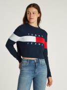 Tommy Jeans Curve Gebreide trui TJW CENTER FLAG SWEATER EXT