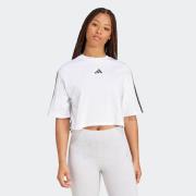 adidas Sportswear T-shirt W 3S SJ TLR T