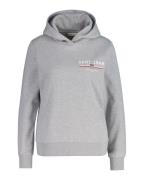 Gant Hoodie REG GRAPHIC HOODIE geribbelde uiteinden, capuchon zonder k...