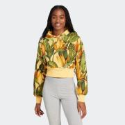 adidas Sportswear Hoodie FARM HOODIE