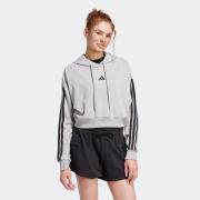 adidas Sportswear Hoodie W 3S FT CRO HD