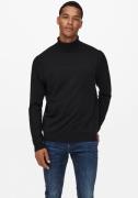 ONLY & SONS Coltrui ONSWYLER LIFE REG ROLL NECK KNIT NOOS