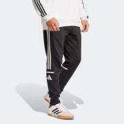 adidas Performance Trainingsbroek SQ25 SW PNT (1-delig)