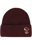 Capelli New York Beanie met iconisch logo-patch