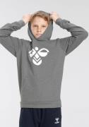 hummel Hoodie HMLCUATRO HOODIE - voor kinderen (1-delig)