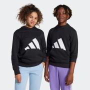 adidas Sportswear Hoodie J BL FT HD 280
