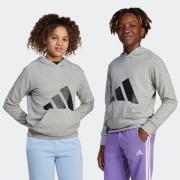 adidas Sportswear Hoodie J BL FT HD 280