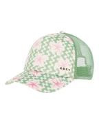 Roxy Truckerpet Honey Coconut