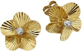 Firetti Paar oorstekers Sieraad Geschenk zilver 925 Oorsieraden Oorbel...