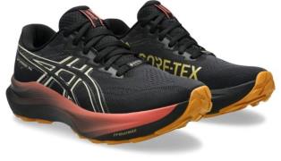 Asics Runningschoenen GT-2000 14 GORE-TEX