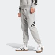 adidas Sportswear Sportbroek M BL FT PT (1-delig)