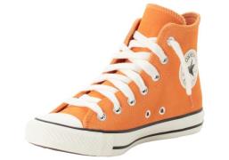 Converse Sneakers CHUCK TAYLOR ALL STAR COLORFUL SUEDE