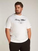 Tommy Hilfiger Shirt met ronde hals BT-SCRIPT LOGO TEE-B in grote mate...
