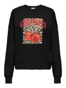 Only Sweatshirt ONLJOLANA L/S O-NECK BERRY PRINT CS SWT