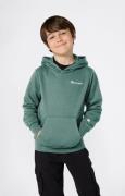 Champion Hoodie (1-delig)