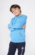 Champion Hoodie (1-delig)