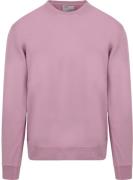 Colorful Standard Sweater Paars