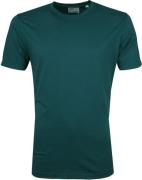 Colorful Standard T-shirt Ocean Groen