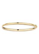 Blush Bangle van 14 karaat geelgoud 2155YGO