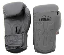 Legend Sports Power rangers bokshandschoenen heren/dames mat pu