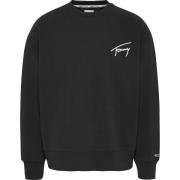 Tommy Hilfiger Signature crew sweater