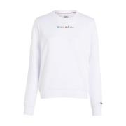 Tommy Hilfiger Reg serif color sweater