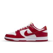 Nike Dunk low usc