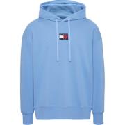 Tommy Hilfiger Relax college pop hoodie