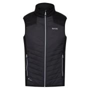 Regatta Heren halton vi lichtgewicht body warmer