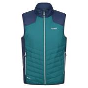 Regatta Heren halton vi lichtgewicht body warmer