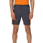 Regatta Heren highton pro shorts