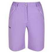 Regatta Dames xert stretch shorts