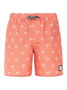 Protest prtfonz jr beachshort -