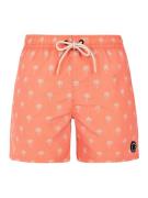 Protest prtalvis beachshort -