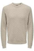 Only & Sons Onskalle reg 12 struc crew knit noo beige