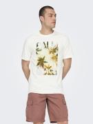 Only & Sons Onsmagdy life reg photoprint ss tee